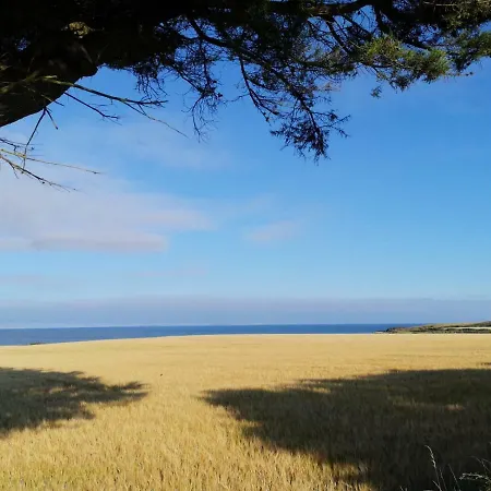 Ban Milis 1 * Fethard-on-Sea
