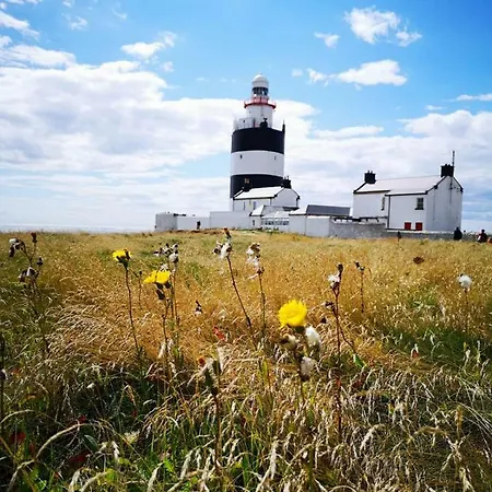 Ban Milis 1 * Fethard on Sea