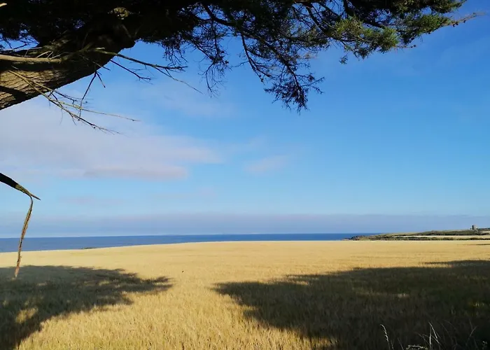 Ban Milis 1 * Fethard-on-Sea