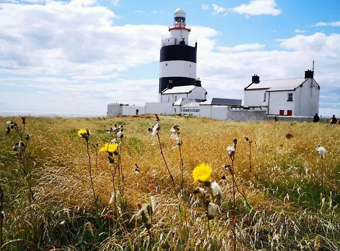 Ban Milis 1 * Fethard-on-Sea